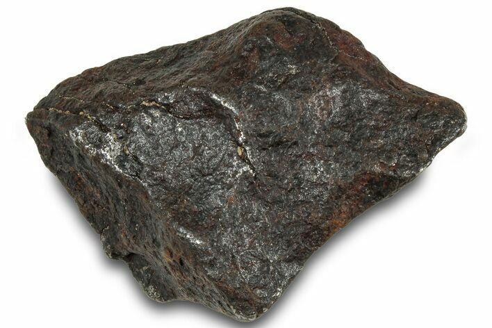 Canyon Diablo Iron Meteorite ( g) - Arizona #319635